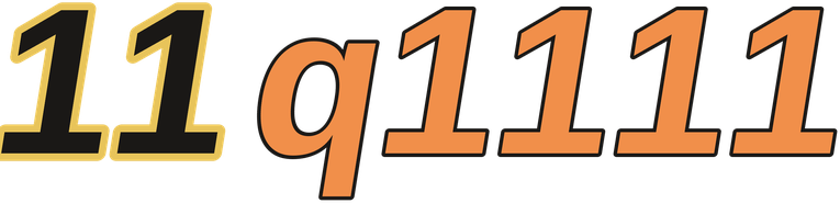 11q1111 logo
